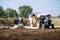 farmers in traditional clothes loading grain into a tractor where it is seperated from the husk and the husk is blown