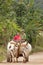 Farmers in Vinales