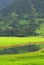 Farmers in the water reflection,fewa lake,nepal