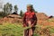 Farmers work in the sugarcane fields