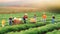 Farmers working on field in rural landscape - miniature figure, agriculture concept,ai generated