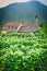 Farmhouse in an austrian Vineyard