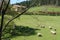 A farmhouse in the Basque Country on the slopes of Mount Urkiola one spring day