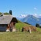 Farmhouse and distant view of Mount Eiger.