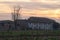 Farmhouse farm sunset panorama landscape