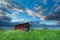 Farmhouse on flowering meadow over blue sky