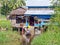 Farmhouse in Maubin, Myanmar