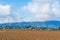 Farmhouse in a ploughed field