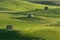 Farmhouse On Rolling Hills