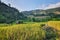 Farmhouse in a valley surrounded by rice fields and green nature in Northern Thailand.
