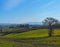 Farmhouses in Orcia country.