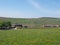 farmhouses and pasture with yellow spring flowers in the grass with dry stone walls surrounding the fields near howarth moor in