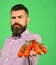 Farming and autumn concept. Man with beard holds red berries