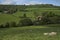 Farming in the Cotswolds in England