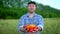 Farming and cultivations. Portrait of man farmer showing vegetables, tomato, Farmer`s market, tomatoes, Organic Farming