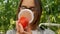 Farming and cultivations. Portrait of young woman farmer in tomato field, showing vegetables to the camera. Close Up of