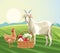 Farming goat hen and basket harvest fruits vegetables