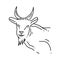 Farming goat icon. hand drawn icon set, outline black, doodle icon, vector icon