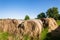 Farming Grass Bales Cattle Feed