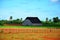 Farming house in Puerto Esperanza, Cuba