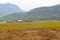 Farming houses harvest rice fields agribusiness, Mai Chau, Vietnam