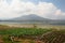 Farming on lake Batur shores. Kintamani. Bali. Indonesia