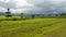 Farming land covered thundercloud.