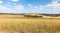 Farming Land - Cowra Australia