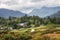 Farming landscape near Seatoller, Keswick, Lakes District, England