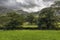 Farming landscape near Seatoller, Keswick, Lakes District, England