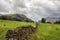 Farming landscape near Seatoller, Keswick, Lakes District, England