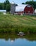 Farming Landscape with pond barn and silo