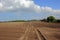 Farming landscape in springtime with ridges and furrowed plow soil and beautiful trees and clouds