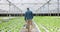 Farming, nursery and man with back, greenhouse and sustainable farmer for agriculture, gardening and growth. Gardener