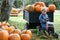 Farming Pumpkins