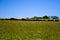 Farming Ranch Angus and Hereford Cattle in Bavaria, Germany