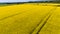 Farming. rapeseed field. Ireland