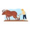 Farming rural work with cattle, peasant man at agricultur farm, vector illustration. Countryside farmland field worked