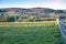 Farming in somerset wildflowers