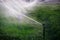 Farming Sprinklers in Field Irrigation and Watering of Crops