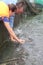 The farming sturgeon fish in cage culture in Tuyen Lam lake. Several species of sturgeons are harvested for their roe, which is ma