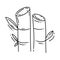 Farming sugarcane icon. hand drawn icon set, outline black, doodle icon, vector icon