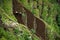 Farming on terraced fields