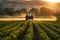 Farming tractor spraying fertilize or pesticide on agricultural field