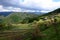 Farming village along Kumano Kodo, near Tanabe at Wakayama, Japan