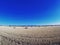 Farming, wheats field