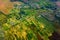 Farmland aerial view at autumn