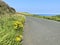 Farmland and coastal road road to Douglas, Isle of Man