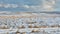 Farmland covered with snow