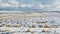 Farmland covered with snow